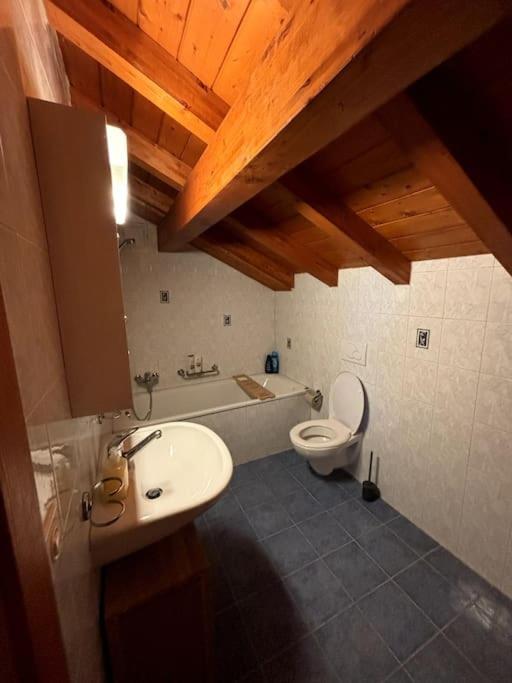 Swiss Chalet - Mountain And Lake View Blonay Екстериор снимка